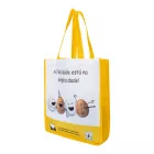 Ecobag em Pet Reciclado e TNT - 33x40x11x11cm - 2013596