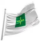 Bandeira de Brasilia - 2039414