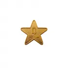 Pins Personalizados em Relevo - Estrela - 1996878