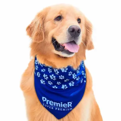 Jogo Americano Pet Formas Azul Personalizado – Cane Produtos Pet