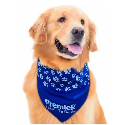 Bandana Personalizada para pet