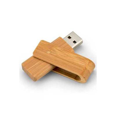 Pen drive Giratório Ecológico